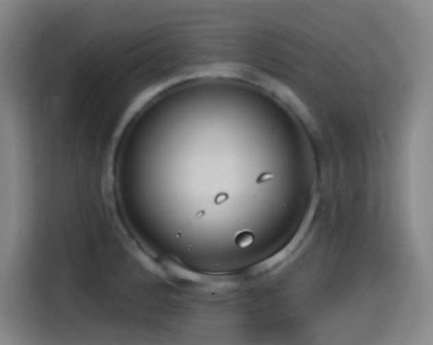 X0000114441184200910161349