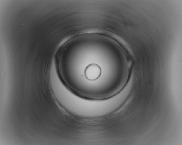 X0000114441185200910161349