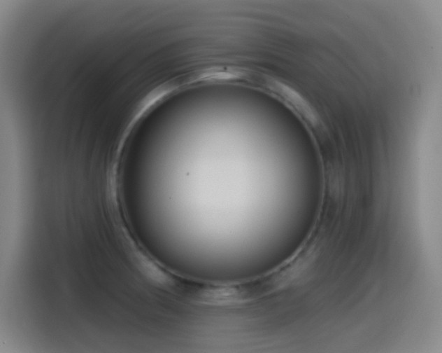 X0000114441186200910161349