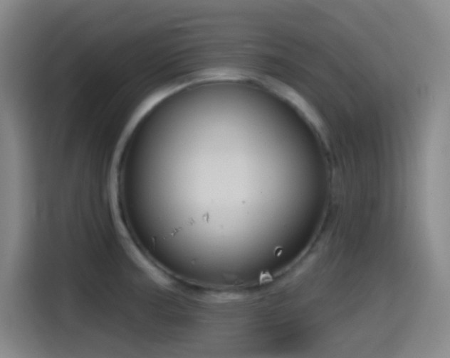 X0000114441187200910161349