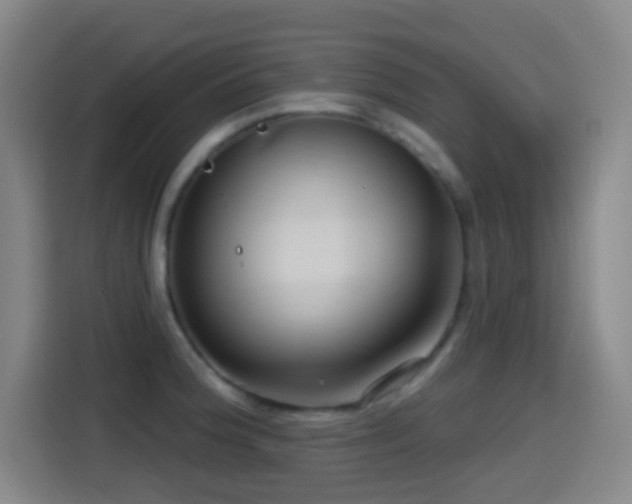 X0000114441188200910161349