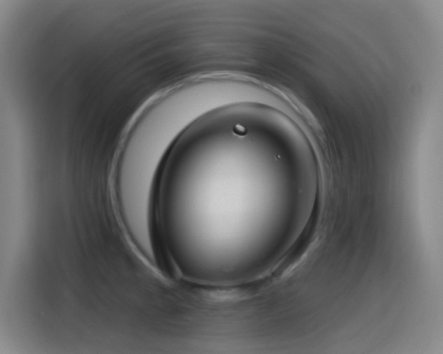X0000114441189200910161349