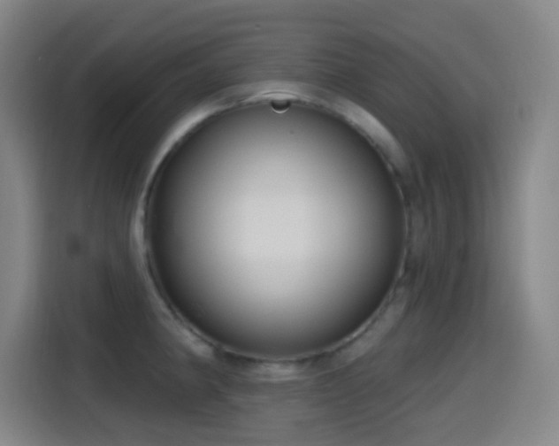 X0000114441190200910161349