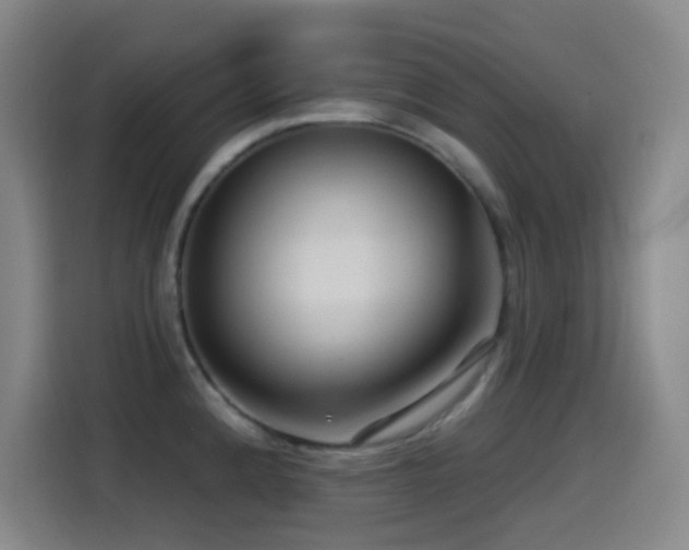 X0000114441192200910161349
