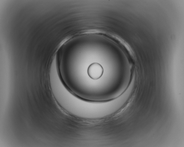 X0000114441193200910161349