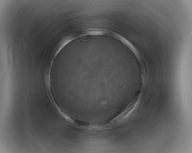 X0000114441194200910161349