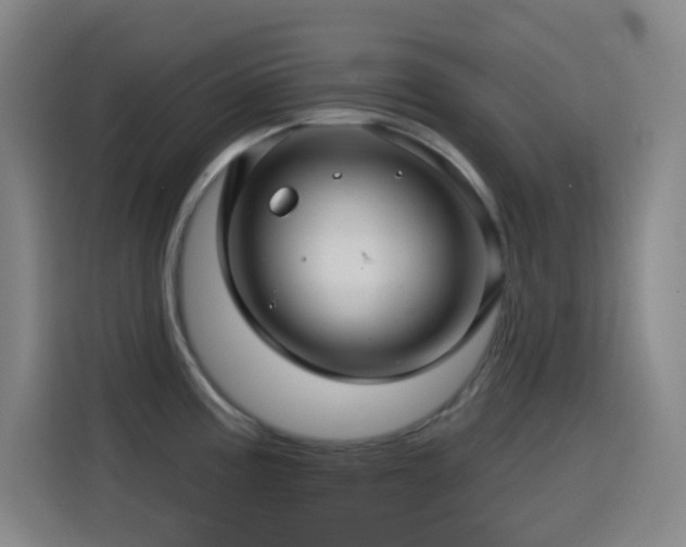 X0000114441195200910161349
