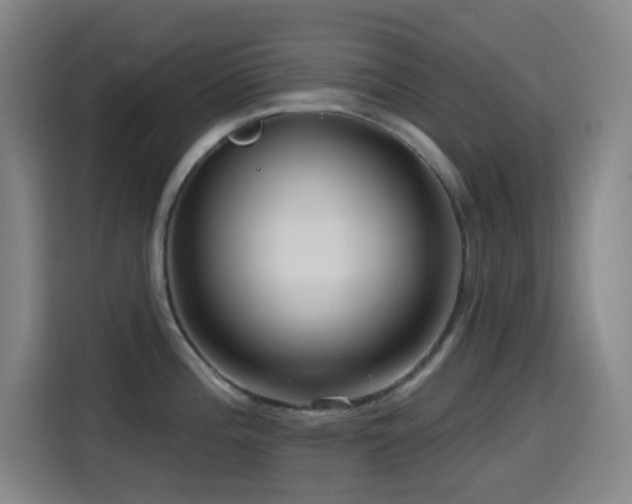 X0000114441196200910161349