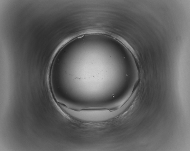 X0000114441197200910161349