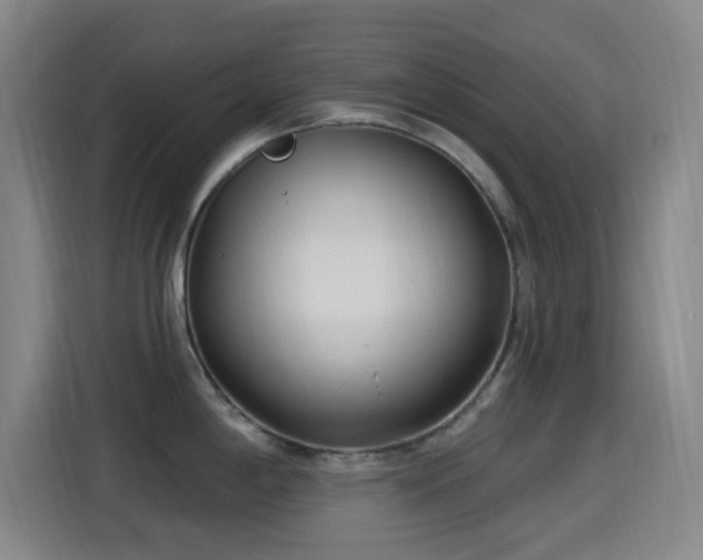 X0000114441198200910161349