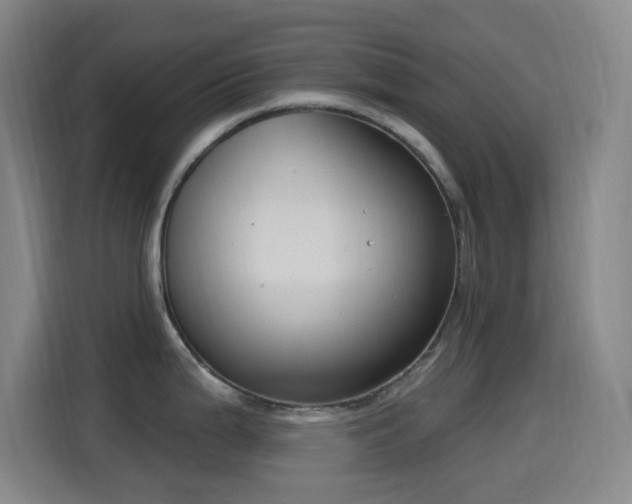 X0000114441199200910161349