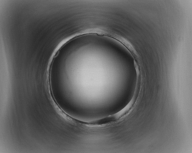 X0000114441200200910161349