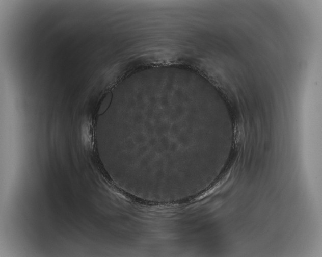 X0000114441202200910161348