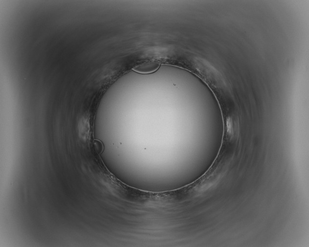 X0000114441203200910161348