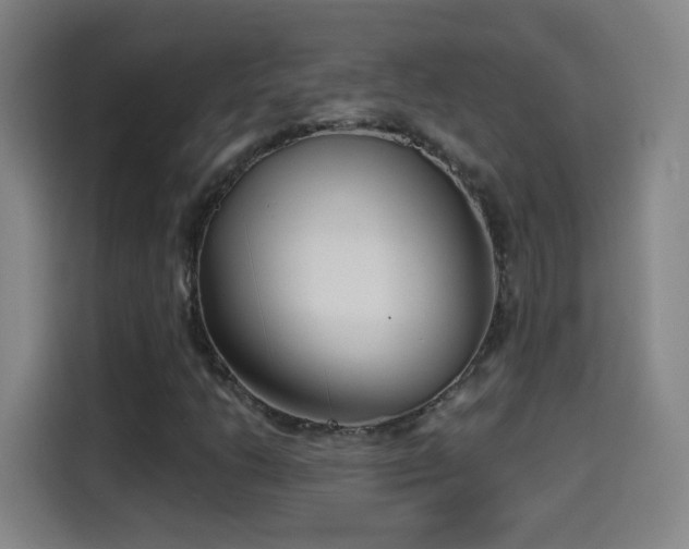X0000114441206200910161348