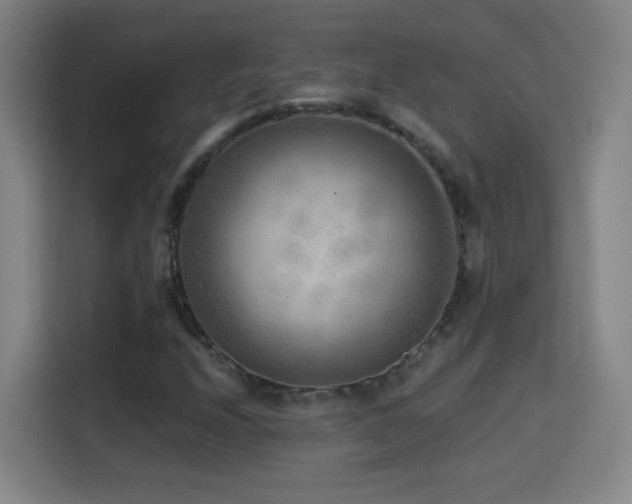X0000114441208200910161348