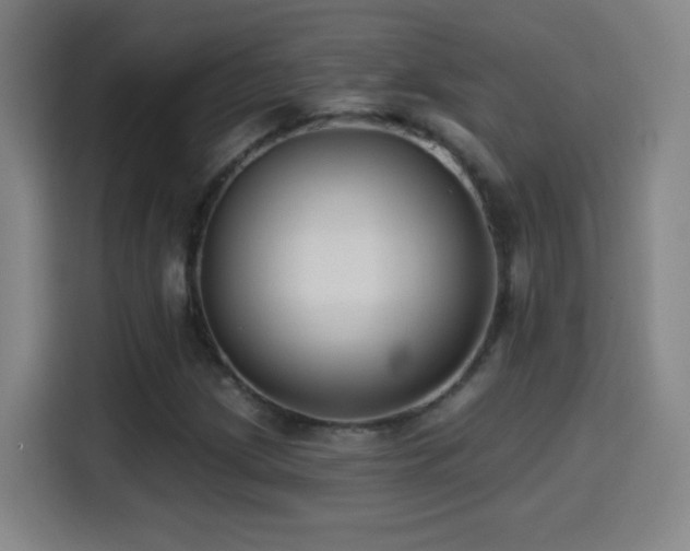X0000114441209200910161348