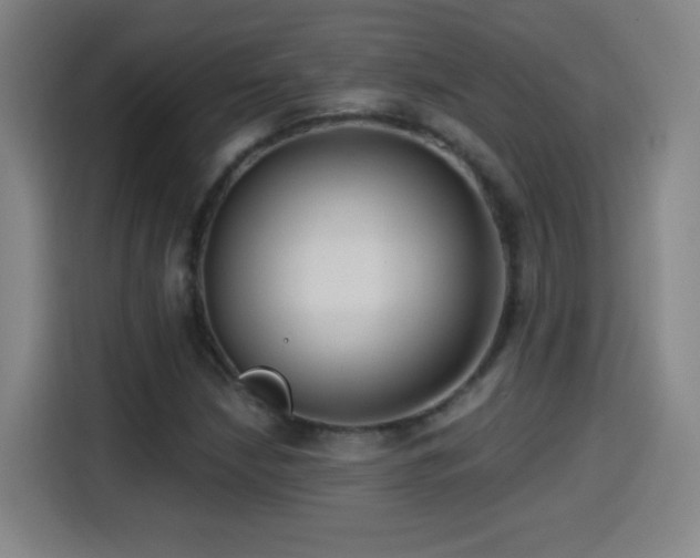 X0000114441210200910161348