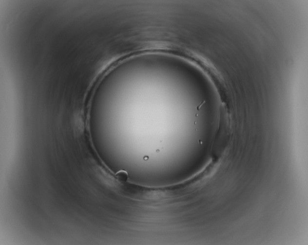 X0000114441212200910161348
