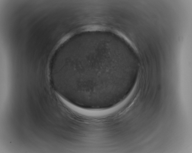 X0000114441213200910161348