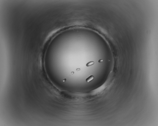X0000114441214200910161348