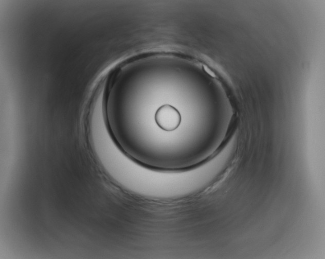 X0000114441215200910161348