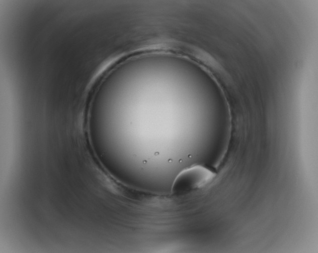 X0000114441216200910161348