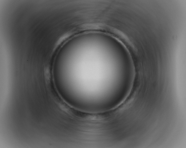 X0000114441218200910161348