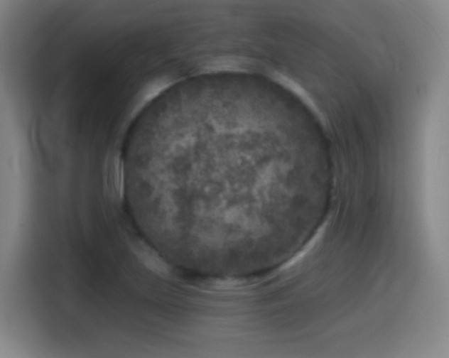 X0000114441219200910161348