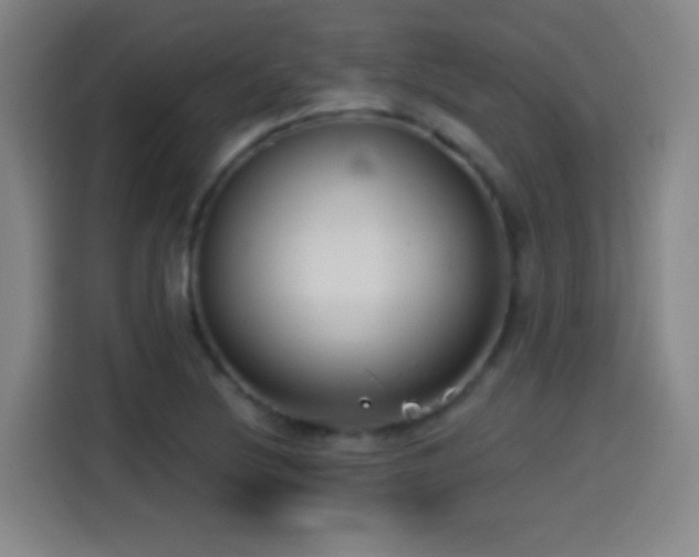X0000114441220200910161348