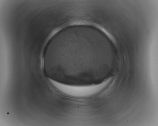X0000114441221200910161348