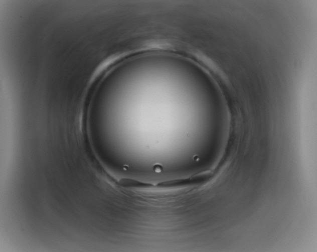 X0000114441222200910161348