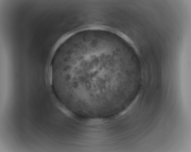 X0000114441223200910161348