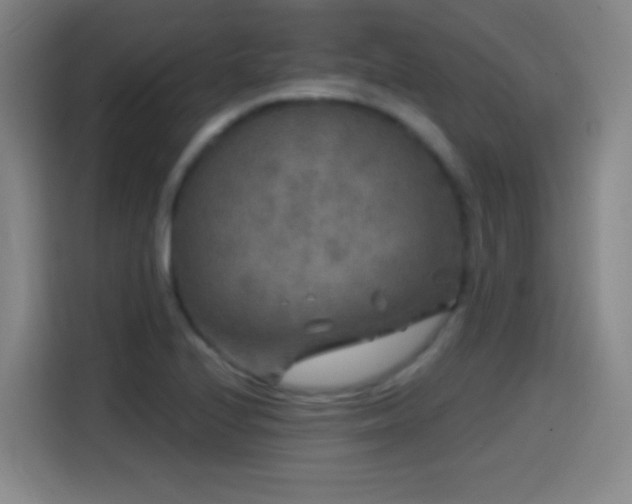 X0000114441224200910161348