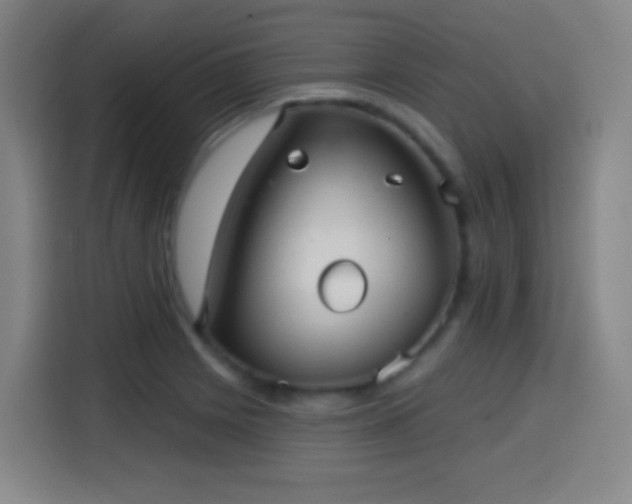 X0000114441225200910161348