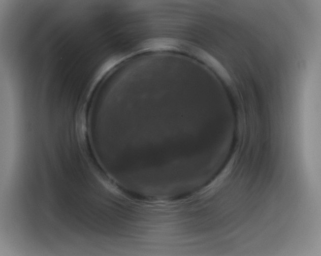 X0000114441226200910161348