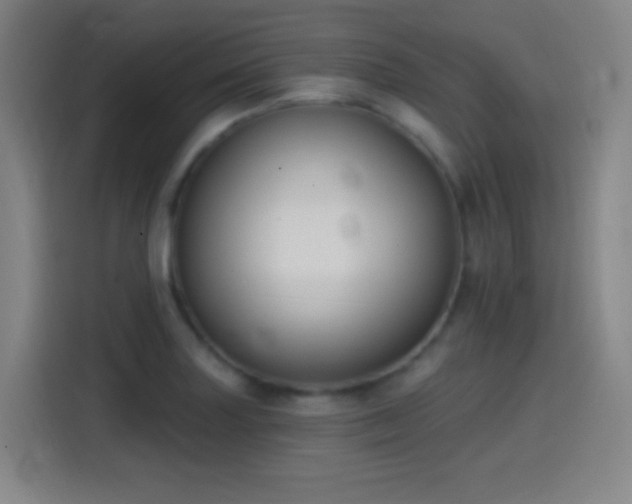 X0000114441227200910161348