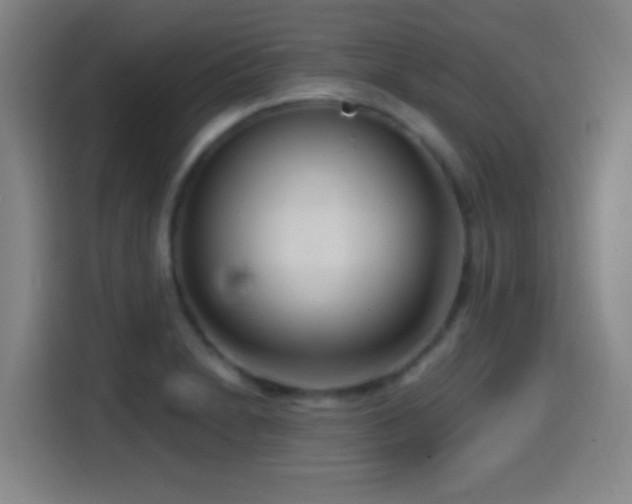 X0000114441230200910161348
