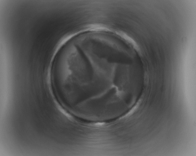 X0000114441231200910161349