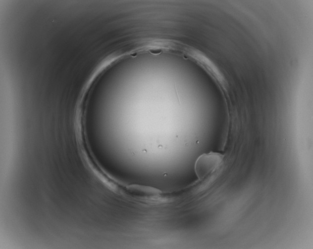 X0000114441235200910161349