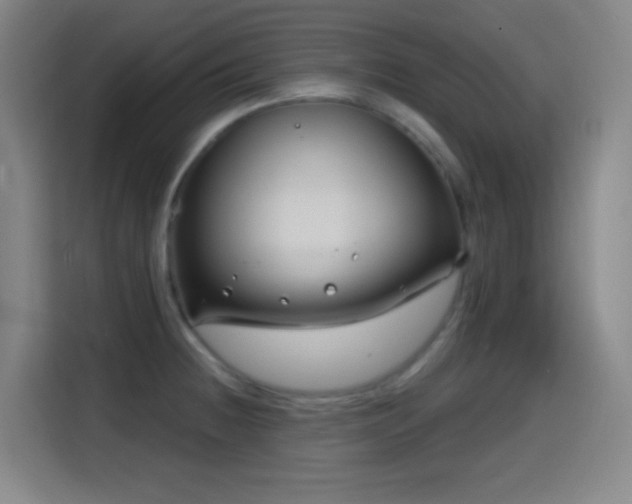 X0000114441236200910161349