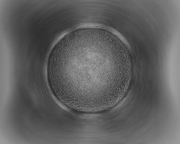X0000114441237200910161349