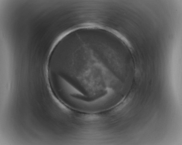 X0000114441239200910161349
