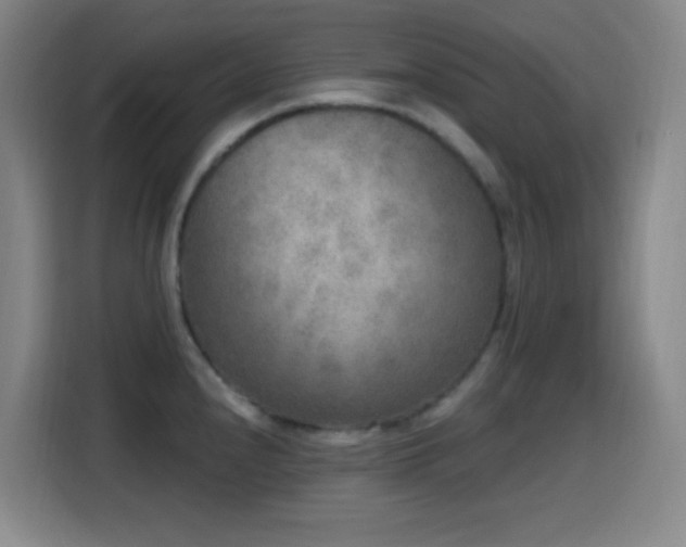 X0000114441240200910161349