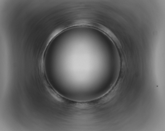 X0000114441242200910161349