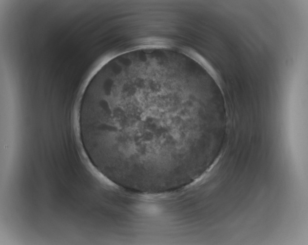 X0000114441243200910161349