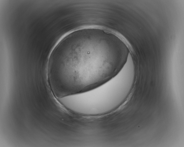 X0000114441244200910161349