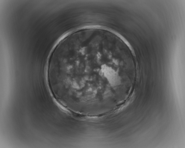 X0000114441245200910161349