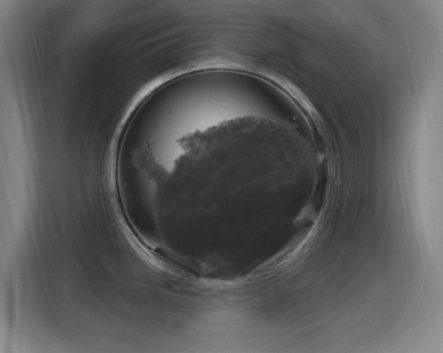 X0000114441246200910161349