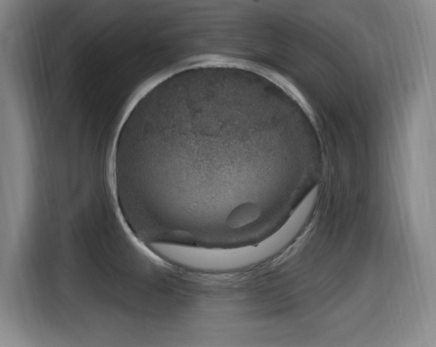 X0000114441247200910161349